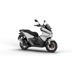 PHELON & MOORE PANTHETTE X 125